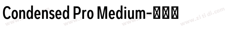 Condensed Pro Medium字体转换